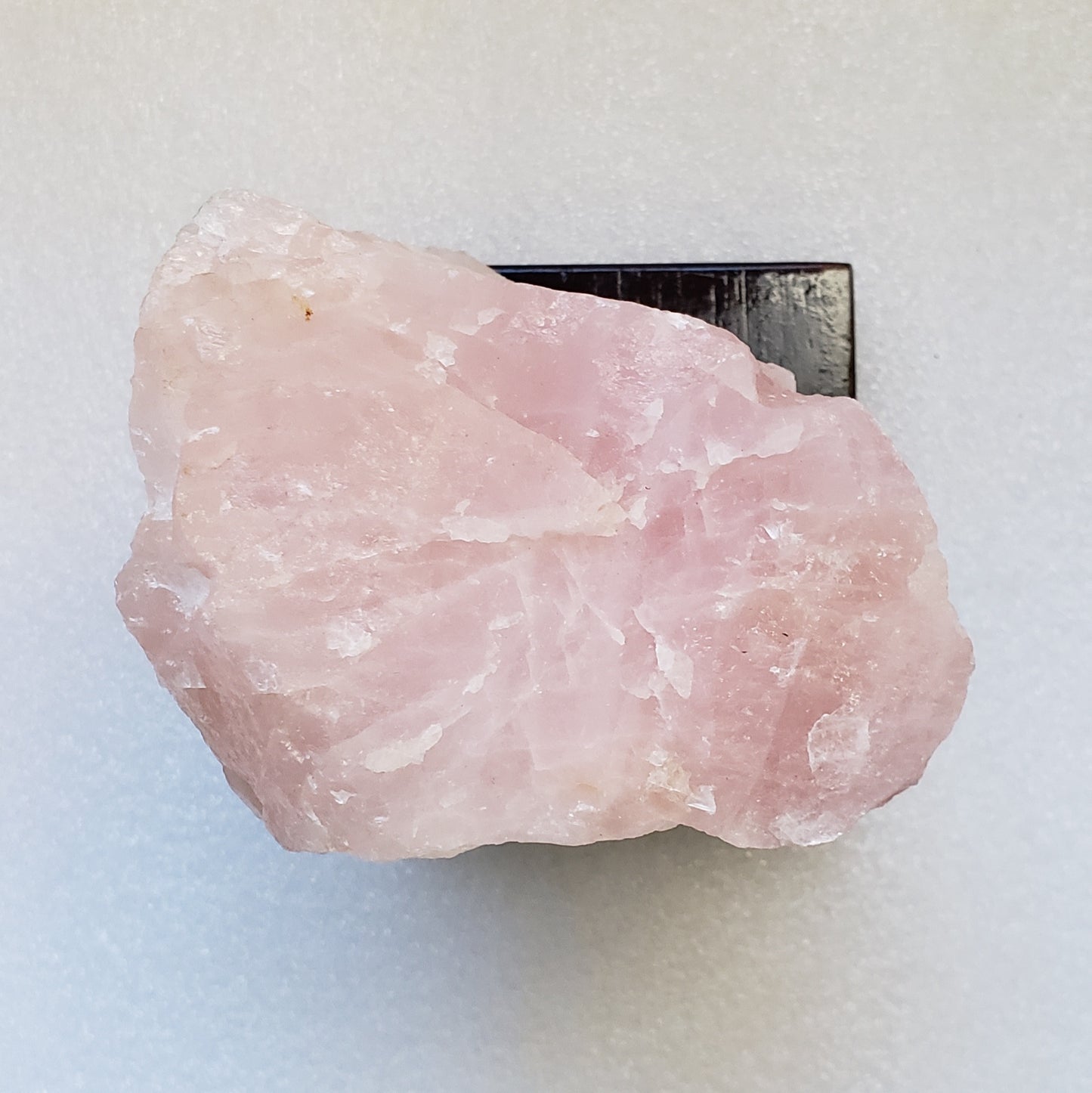Rose Quartz on Wooden Base - Mala & Me