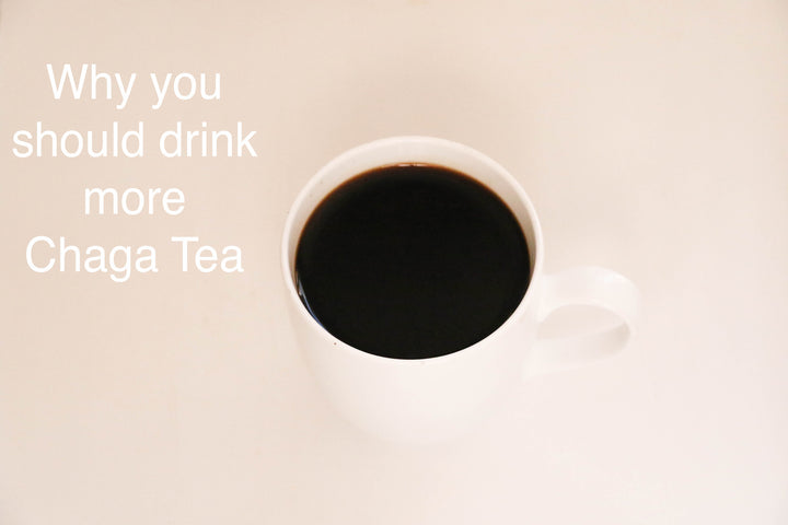 Why you should drink more Chaga Tea