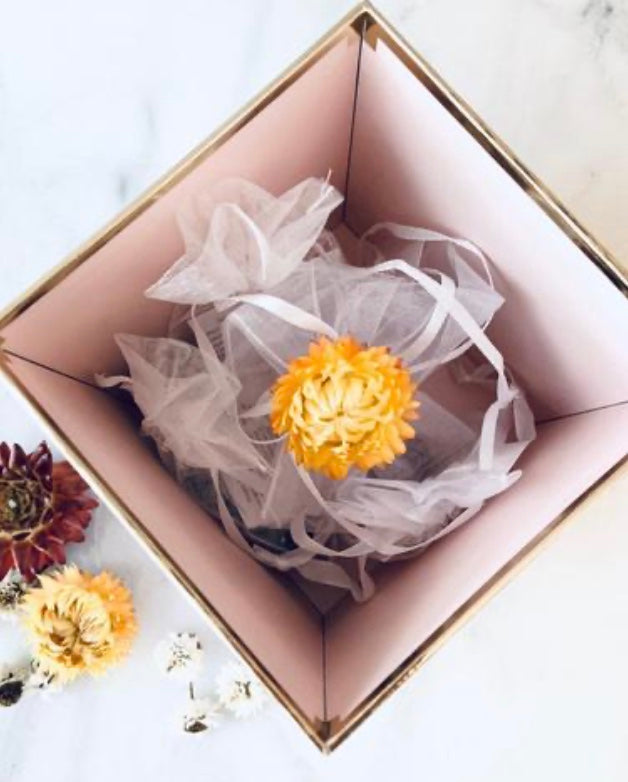 Gift Card - Mala & Me- Gemstones with beautiful geometric pendents inspired by nature- Jewlery used for meditation, setting intentions and enhancing your yoga practice. Each gemstone holds unique healing properties 